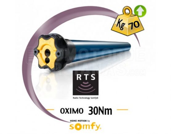 Motor Somfy RTS Oximo para persiana 30Nm